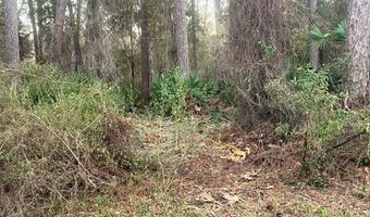 34 Gibson Rd, Apalachicola, FL 32320