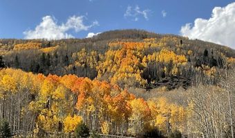 421 Elk Meadow Run, Antonito, CO 81120
