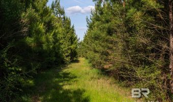 Flowers Road, Bay Minette, AL 36507