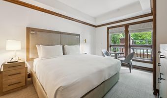 415 E Dean St Unit 23b Week 5, Aspen, CO 81611