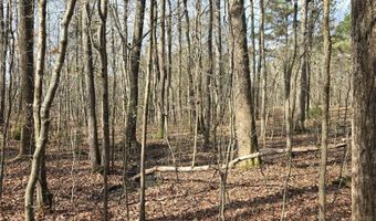 Yatesville Road, Barnesville, GA 30204