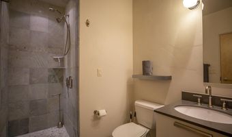 231 Robinson Street 330, Basalt, CO 81621