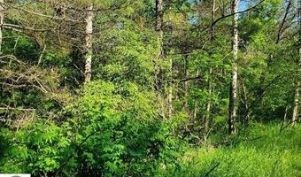 Quigley Road 40 Acres Quigley Road, Alger, MI 48610