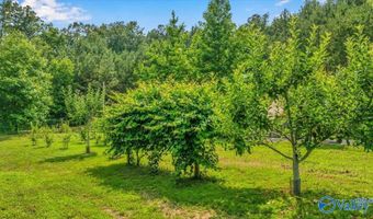 1228 Matt Morrow Rd, Arab, AL 35016