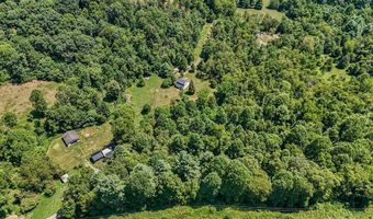 309 Timber Rd, Barren Springs, VA 24313