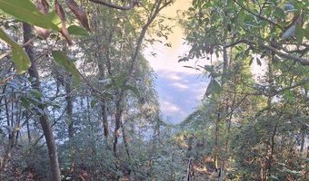 163 High Bluff Rd, Baxley, GA 31513