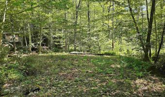 154 Reed Rd, Athens, VT 05143