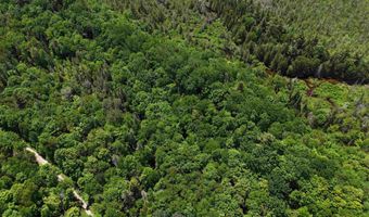 905 Gideons Mill Rd, Brighton, VT 05846