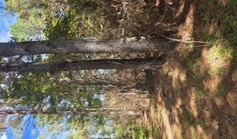 2862 Wallace Dr, Bogue Chitto, MS 39629