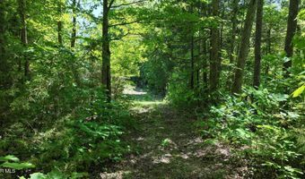 1475 Davis Valley Rd, Afton, TN 37616