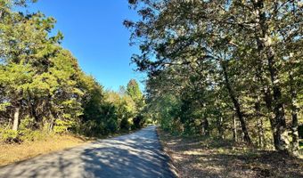 51 Shelton Rd, Bee Branch, AR 72013
