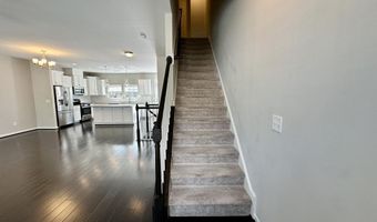 822 Richmont Grove Ln, Apex, NC 27523