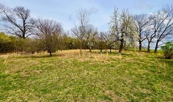 1138 County Road 8120, West Plains, MO 65775