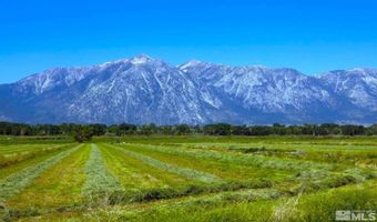 Pinenut Road, Gardnerville, NV 89410