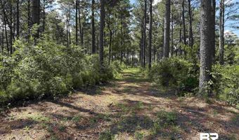 154 Perry Ln, Atmore, AL 36502