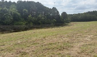 10 County Road 1521, Bay Springs, MS 39422