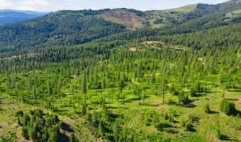 NNA Stone Rd Lot 5 20.0 Acres, Blanchard, ID 83804
