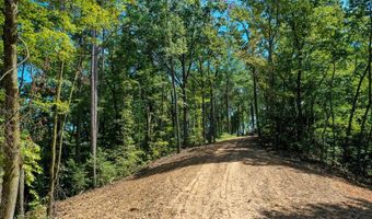 4 Black Rock Trl 4, Andrews, NC 28901