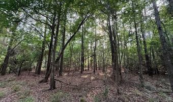 Airport Rd, Bastrop, LA 71220