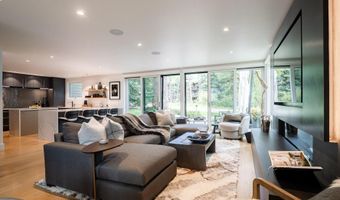 314 N Riverside Ave 2, Aspen, CO 81611