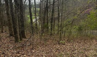 County Road 197, Athens, TN 37303