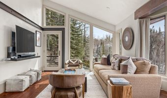 153 Herron Hollow Dr, Aspen, CO 81611