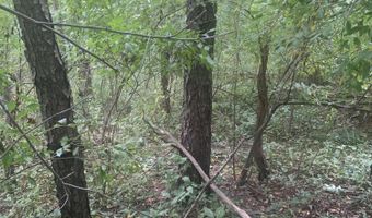 V/L Springhill Drive, Allegan, MI 49010