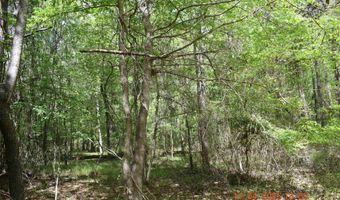 CAMERON ROAD, Bastrop, LA 71220