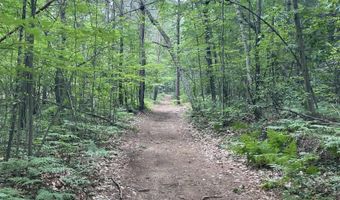 2181 M-33, Alger, MI 48610