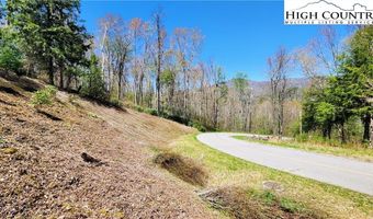 31 32 Running Bear Cir, Banner Elk, NC 28604
