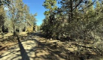 Bunting Drive, Bonanza, OR 97623