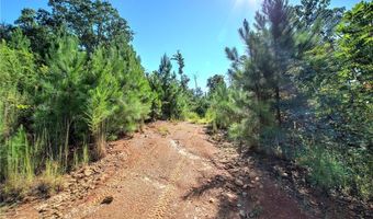 3931 Upper Bethany Rd, Ball Ground, GA 30107