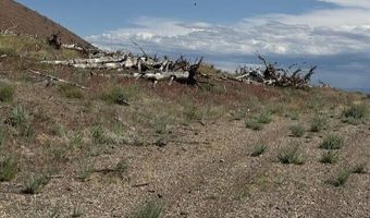 Hwy 395 unit 1 1, Gardnerville, NV 89410