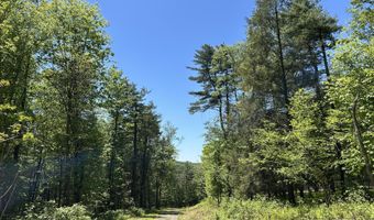 TALLMAN HOLLOW ROAD, Montoursville, PA 17754