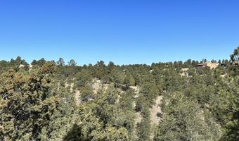 Lot 12 Golden Eagle Court, Alto, NM 88312