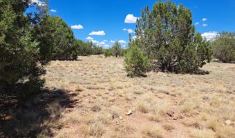 20614014 E W Isabella Ln, Ash Fork, AZ 86032