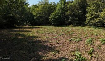 Putnam Road, Belzoni, MS 39038