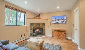 114 Park Forest Dr, Breckenridge, CO 80424