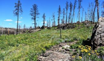 2025 Granite Rd, Bellvue, CO 80512