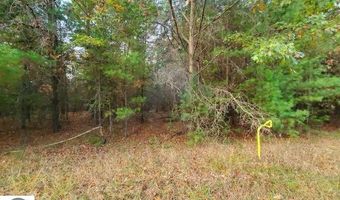 0 Buffalo Trl, Alger, MI 48610