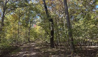 Lot 1215 Iron Gate Drive, Baneberry, TN 37890
