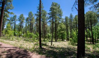 13 County Road N 2122, Alpine, AZ 85920