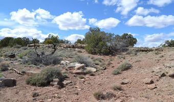 32 N8544 398, Concho, AZ 85924