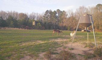 TBD County Road 40, Abbeville, AL 36310
