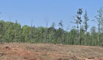 0 Elberton Hwy, Lincolnton, GA 30817