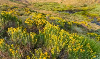 TRACT 17 FISHERMAN CREEK Road, Bondurant, WY 82922