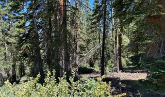 39 Liberty Rd, Arnold, CA 95223