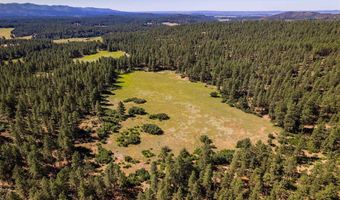 1005 46781 Beaver Creek Ranch Drive & US Highway 160, Bayfield, CO 81122