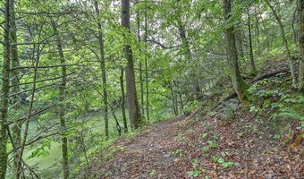 24483 Cave Creek Rd, Abingdon, VA 24211