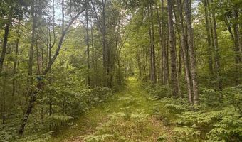 BENNETT Road 6, Amberg, WI 54102